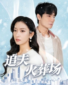 短剧《追夫火葬场 (2024)》全集免费在线观看-第1张图片-力界网