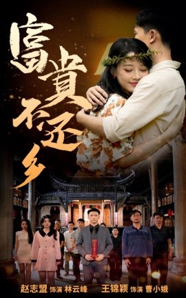 短剧《富贵不还乡 (2024)》全集免费在线观看-第1张图片-力界网