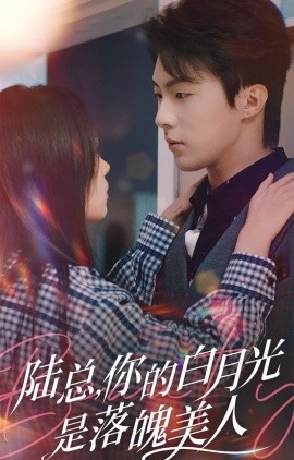 短剧《陆总，你的白月光是落魄美人 (2024)》全集免费在线观看-第1张图片-力界网