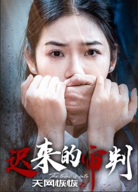短剧《天网恢恢之迟来的审判 (2024)》全集免费在线观看-第1张图片-力界网