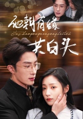 短剧《他朝有缘共白头 (2024)》全集免费在线观看-第1张图片-力界网