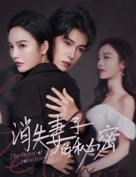 短剧《消失妻子的秘密 (2024)》全集免费在线观看-第1张图片-力界网