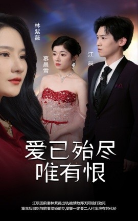 短剧《爱已殆尽唯有恨 (2024)》全集免费在线观看-第1张图片-力界网