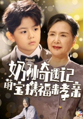 短剧《奶孙奇遇记萌宝携福来孝亲 (2024)》全集免费在线观看-第1张图片-力界网