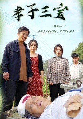 短剧《孝子三宝 (2024)》全集免费在线观看-第1张图片-力界网