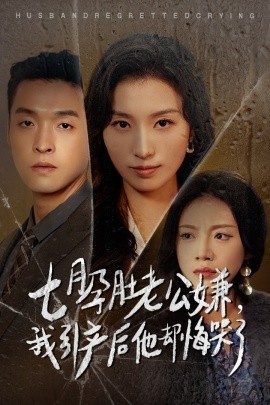 短剧《七月孕肚老公嫌，我引产后他却悔哭了 (2024)》全集免费在线观看-第1张图片-力界网