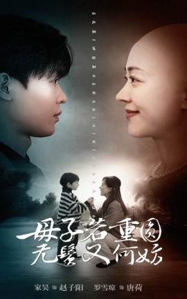 短剧《母子若重圆无鬓又何妨 (2024)》全集免费在线观看-第1张图片-力界网