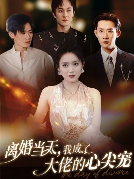 短剧《离婚当天，我成了大佬的心尖宠 (2024)》全集免费在线观看-第1张图片-力界网