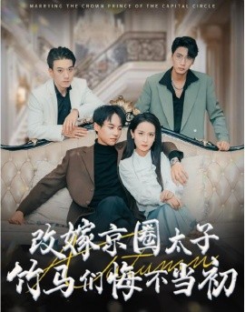 短剧《改嫁京圈太子竹马们悔不当初 (2024)》全集免费在线观看-第1张图片-力界网