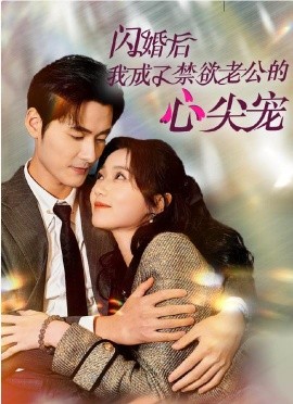 短剧《闪婚后我成了禁欲老公的心尖宠 (2024)》全集免费在线观看-第1张图片-力界网