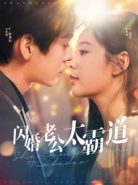 短剧《闪婚老公太霸道 (2024)》全集免费在线观看-第1张图片-力界网