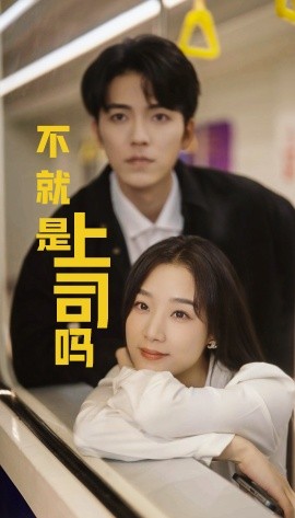 短剧《不就是上司嘛 (2024)》全集免费在线观看-第1张图片-力界网