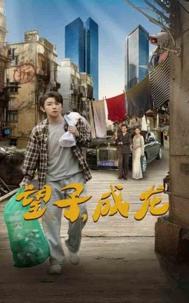 短剧《望子，成龙 (2024)》全集免费在线观看-第1张图片-力界网