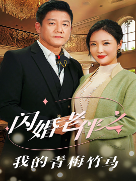 短剧《闪婚老伴之我的青梅竹马 (2024)》全集免费在线观看-第1张图片-力界网