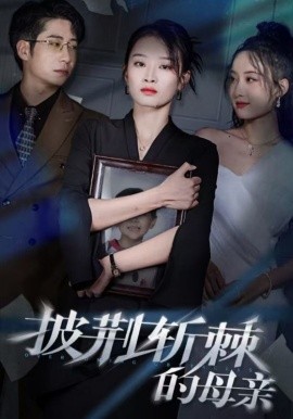 短剧《披荆斩棘的母亲 (2024)》全集免费在线观看-第1张图片-力界网