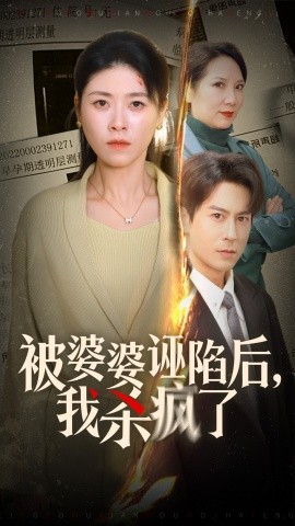 短剧《被婆婆诬陷后，我杀疯了 (2024)》全集免费在线观看-第1张图片-力界网