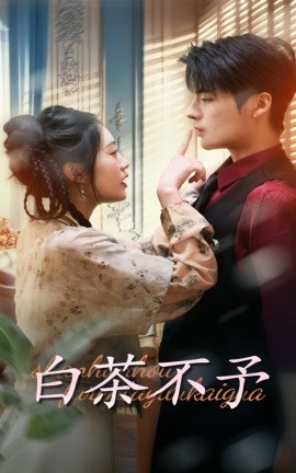 短剧《白茶不予 (2024)》全集免费在线观看-第1张图片-力界网