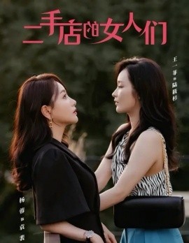 短剧《二手店的女人们 (2024)》全集免费在线观看-第1张图片-力界网
