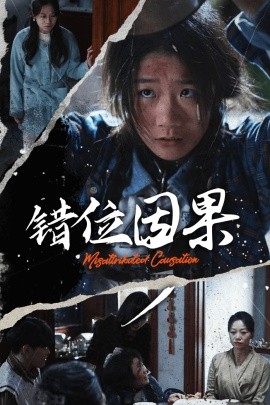 短剧《错位因果 (2024)》全集免费在线观看-第1张图片-力界网