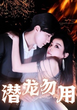短剧《潜龙勿用 (2024)》全集免费在线观看-第1张图片-力界网
