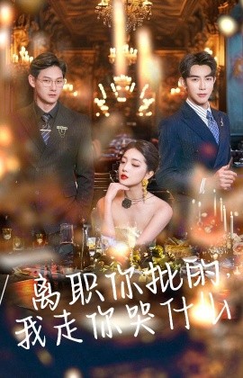 短剧《离职你批的，我走你哭什么 (2024)》全集免费在线观看-第1张图片-力界网