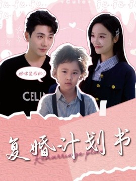 短剧《复婚计划书 (2024)》全集免费在线观看-第1张图片-力界网