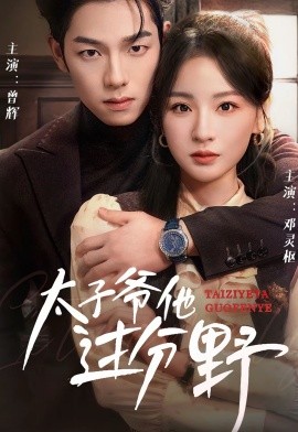 短剧《太子爷他过分野 (2024)》全集免费在线观看-第1张图片-力界网