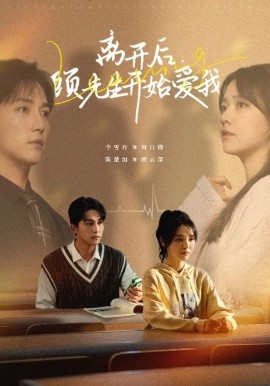 短剧《离开后，顾先生开始爱我 (2025)》全集免费在线观看-第1张图片-力界网