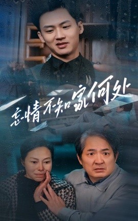 短剧《忘情不知家何处 (2025)》全集免费在线观看-第1张图片-力界网