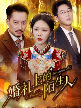 短剧《婚礼上的陌生人 (2025)》全集免费在线观看-第1张图片-力界网
