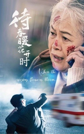 短剧《待春暖花开时 (2025)》全集免费在线观看-第1张图片-力界网