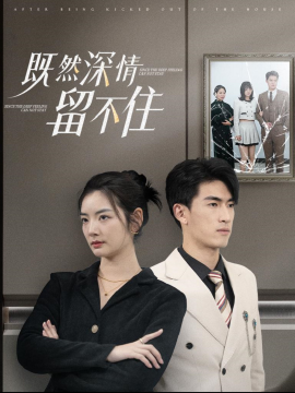 短剧《既然深情留不住 (2025)》全集免费在线观看-第1张图片-力界网