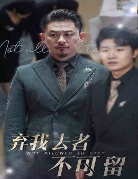 短剧《弃我去者不可留 (2025)》全集免费在线观看-第1张图片-力界网