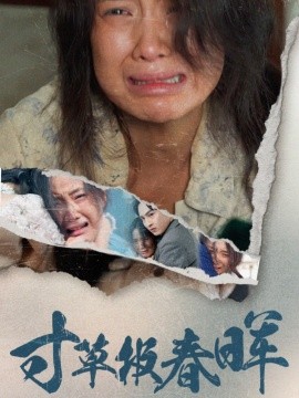 短剧《寸草报春晖 (2025)》全集免费在线观看-第1张图片-力界网