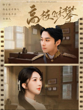 短剧《高枝难攀 (2025)》全集免费在线观看-第1张图片-力界网