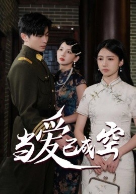 短剧《当爱已成空 (2025)》全集免费在线观看-第1张图片-力界网