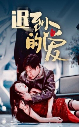短剧《迟到的爱 (2025)》全集免费在线观看-第1张图片-力界网