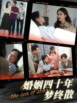 短剧《婚姻四十年梦终散 (2025)》全集免费在线观看-第1张图片-力界网