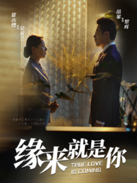 短剧《缘来就是你 (2025)》全集免费在线观看-第1张图片-力界网