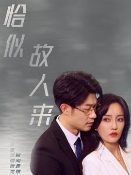 短剧《恰似故人来 (2025)》全集免费在线观看-第1张图片-力界网