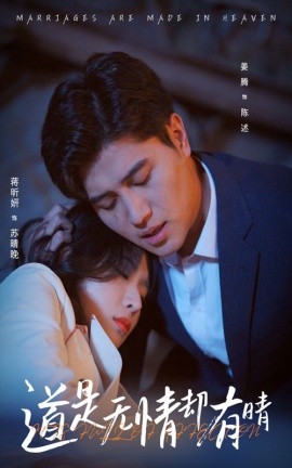 短剧《道是无情却有晴 (2025)》全集免费在线观看-第1张图片-力界网