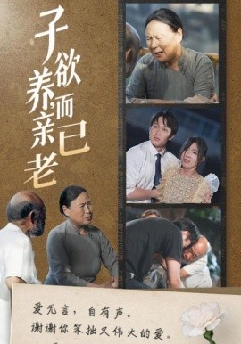 短剧《子欲养，而亲已老 (2025)》全集免费在线观看-第1张图片-力界网