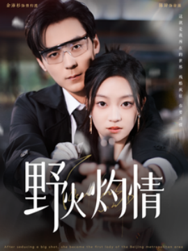 短剧《野火灼情 (2025)》全集免费在线观看-第1张图片-力界网