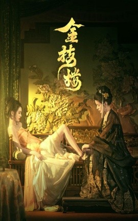 短剧《金枝楼 (2025)》全集免费在线观看-第1张图片-力界网