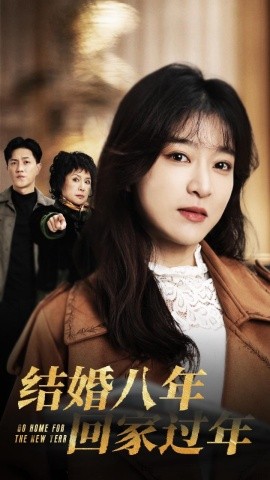 短剧《结婚八年回家过年 (2025)》全集免费在线观看-第1张图片-力界网