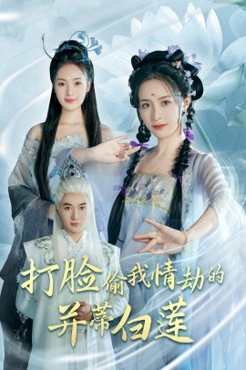 短剧《打脸偷我情劫的并蒂白莲 (2025)》全集免费在线观看-第1张图片-力界网