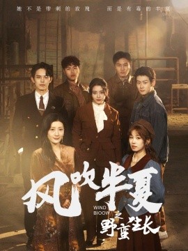短剧《风吹半夏之野蛮生长 (2025)》全集免费在线观看-第1张图片-力界网