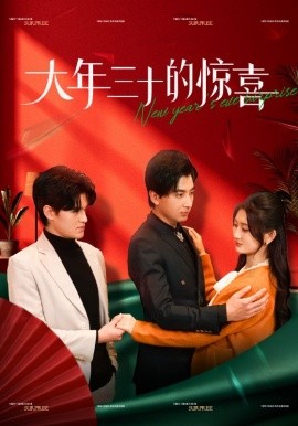 短剧《大年三十的惊喜 (2025)》全集免费在线观看-第1张图片-力界网