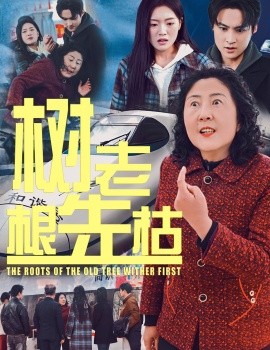 短剧《树老根先枯 (2025)》全集免费在线观看-第1张图片-力界网