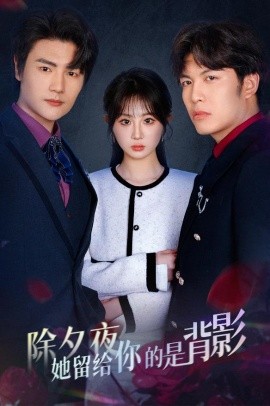 短剧《除夕夜她留给你的是背影 (2025)》全集免费在线观看-第1张图片-力界网